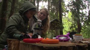 kids-learning-in-the-dirt-forest-schools
