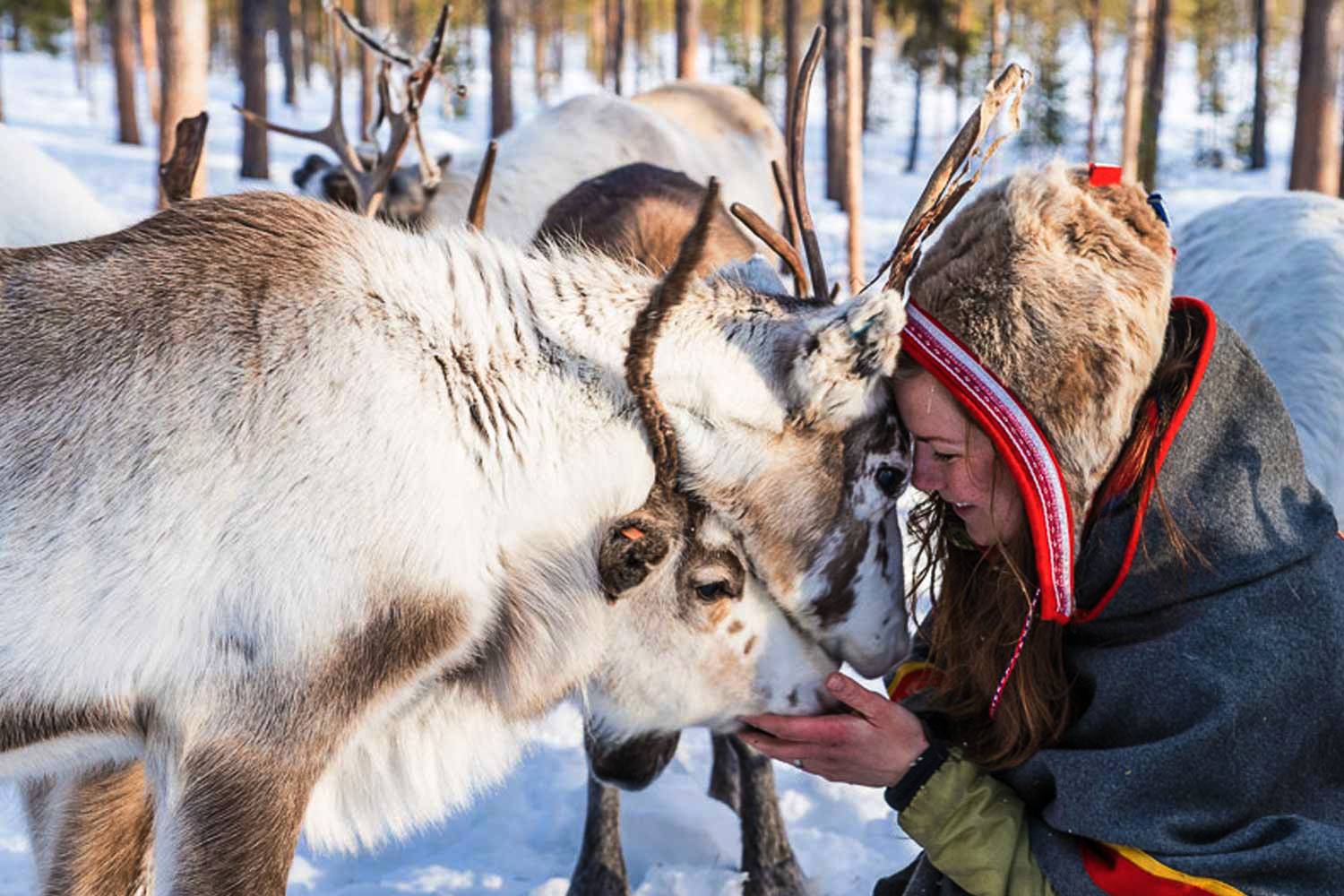Un viaggio in Lapponia se volete vivere l'esperienza del popolo Sami | Suntime Magazine